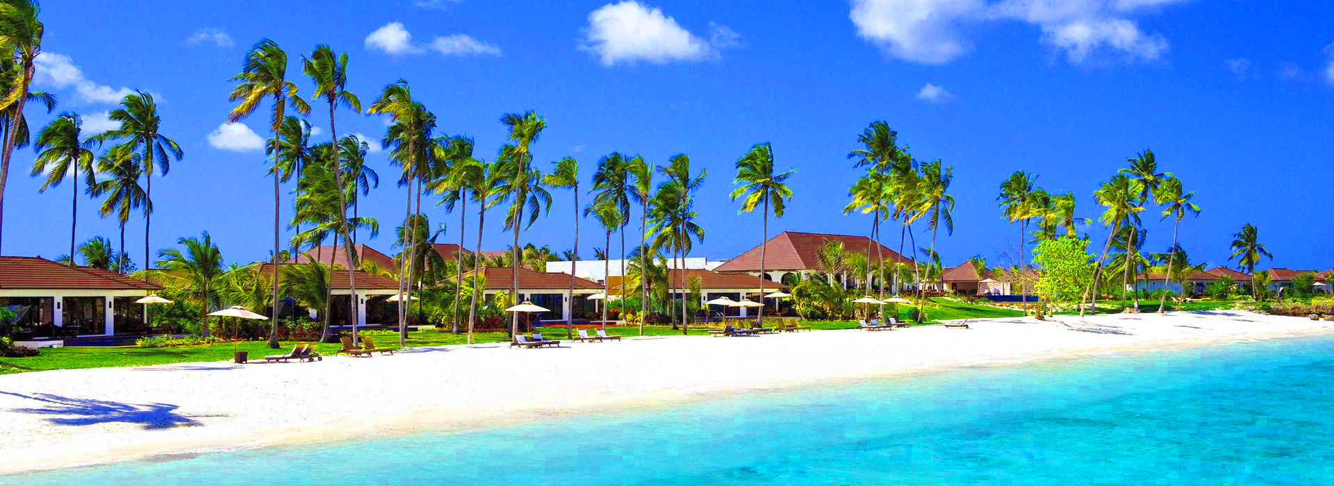 Palm-lined beach resort in Zanzibar