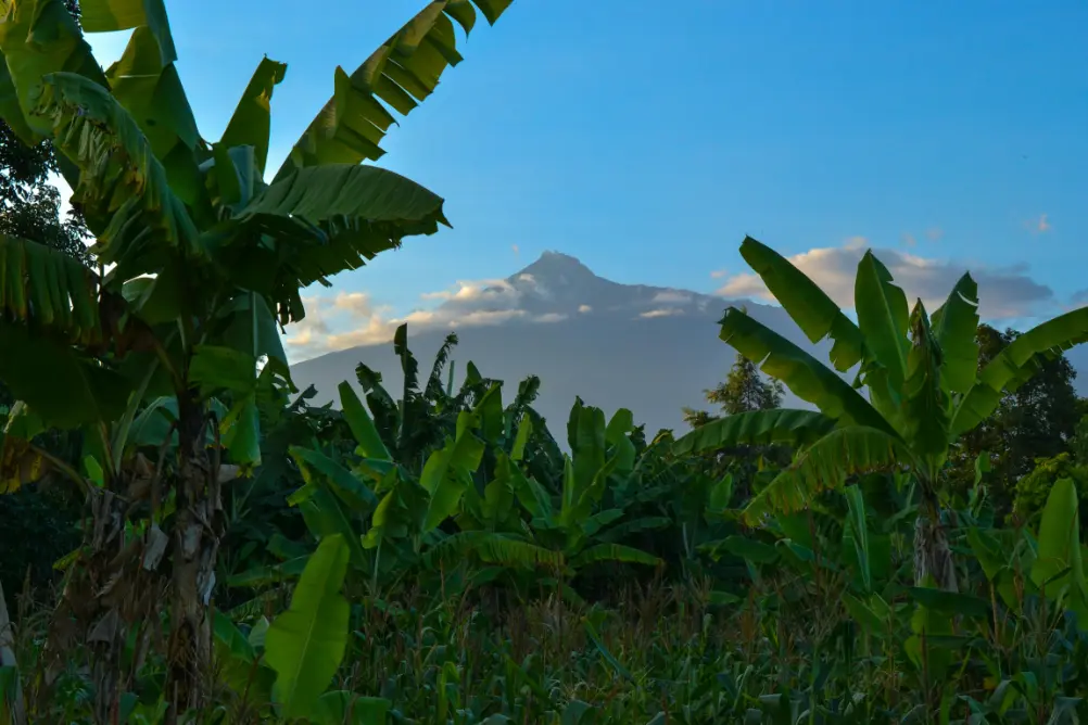 arusha