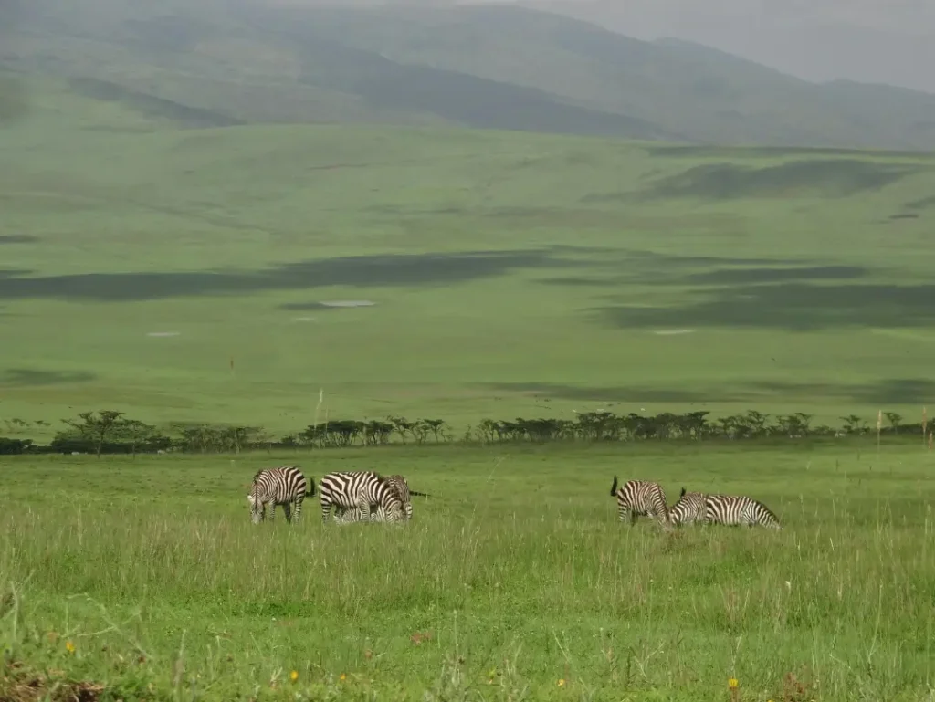 ngorongoro crater