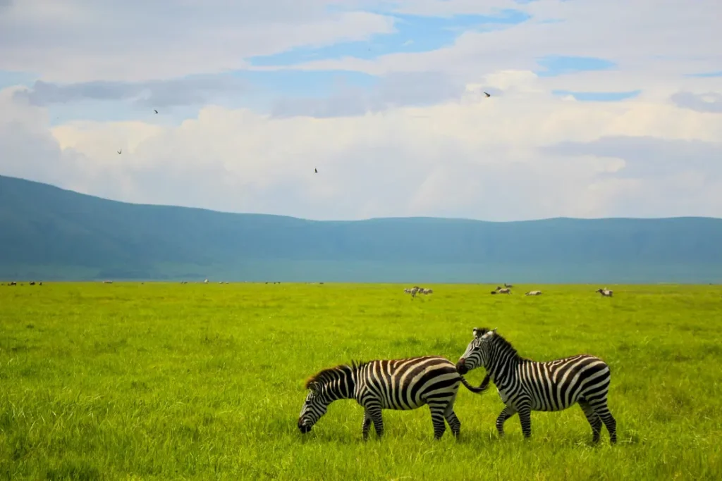 3 days camping safari in Tanzania